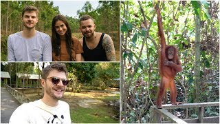 ORANGUTANS & NIGHT SAFARI | BORNEO PART 2