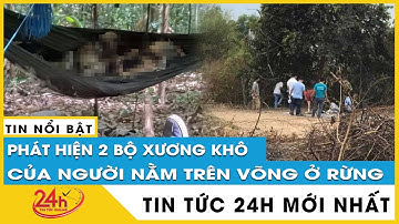 Xác minh danh tính 2 bộ xương khô của người nằm trên võng trong rừng ở Gia Lai | TV24h