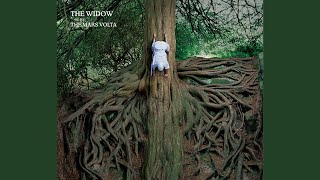 The Widow