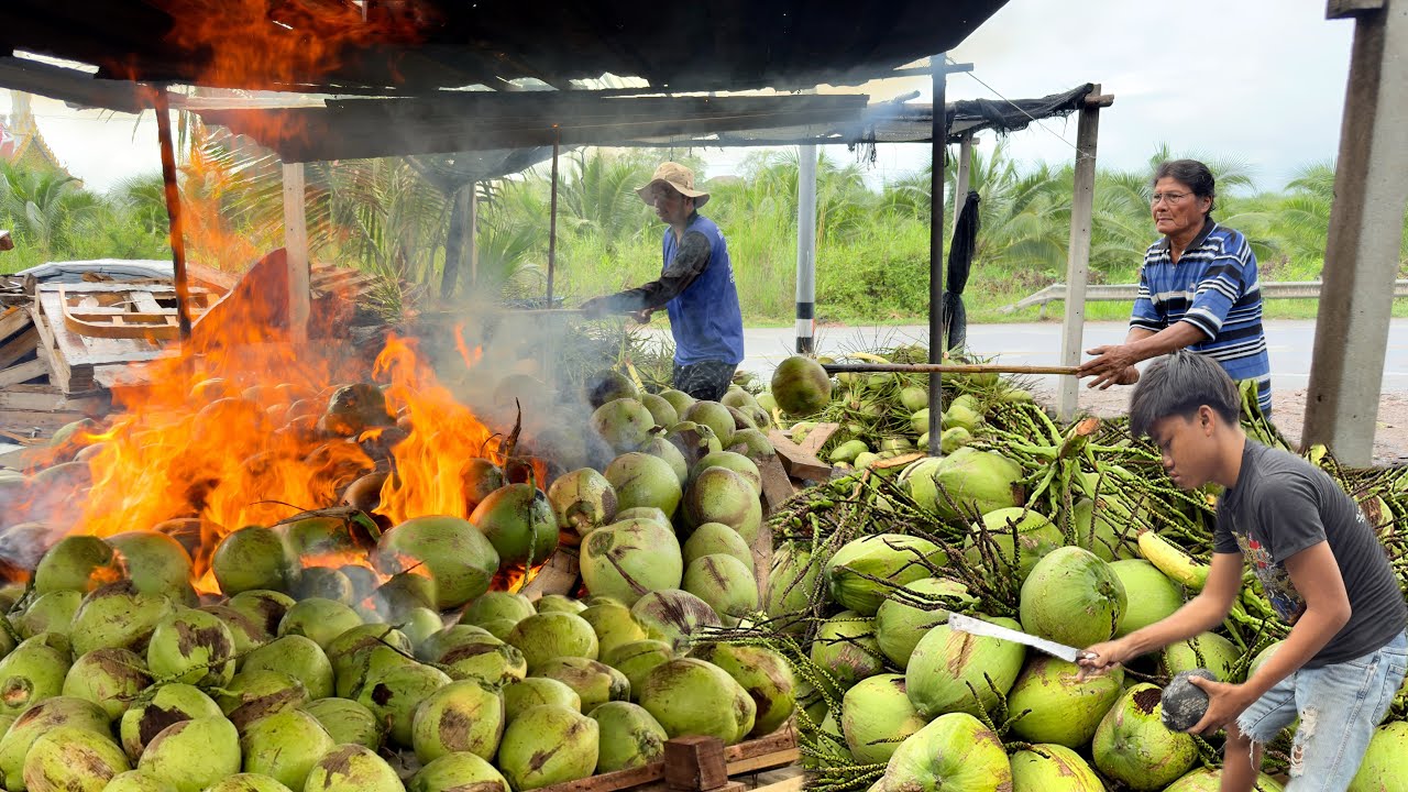 Amazing Skills! Roasted 1000 kg of Coconut & Fried Sweet Golden Banana Chips | Thai Street Food