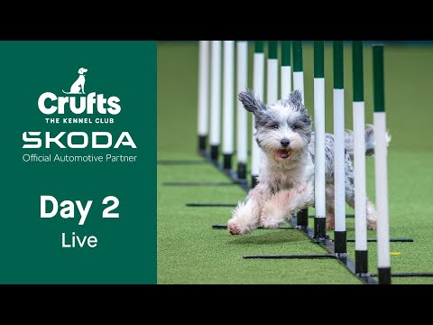 Day 2 LIVE | Crufts 2023