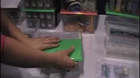 CK Visits the ScrapCessories Booth at CHA-Summer