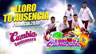 Video thumbnail of "Pasión y Sentimiento - Lloro tu ausencia PRIMICIA 2018 CUMBIA SANJUANERA"