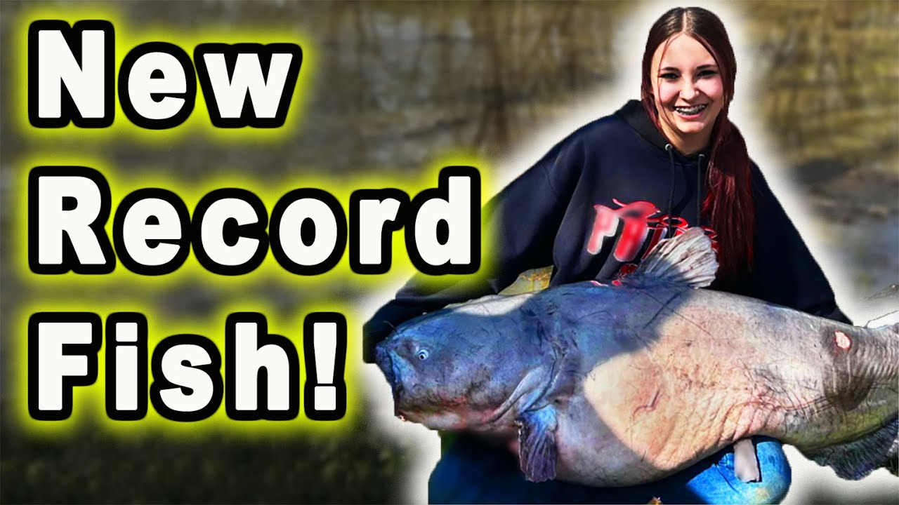 New Record Breaking Catfish 