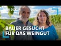 Bauer Gesucht - Für das Weingut Fuchs | SWR Doku