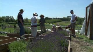 Organic Agriculture at Washington State University