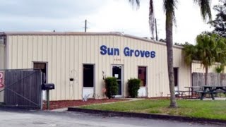 FLORIDA OF THE PAST  SUN GROVES  former orange fruit sales and tourist stop in Pinellas County, FL