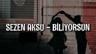 Sezen Aksu - Biliyorsun (Lyrics/Şarkı Sözleri) Resimi