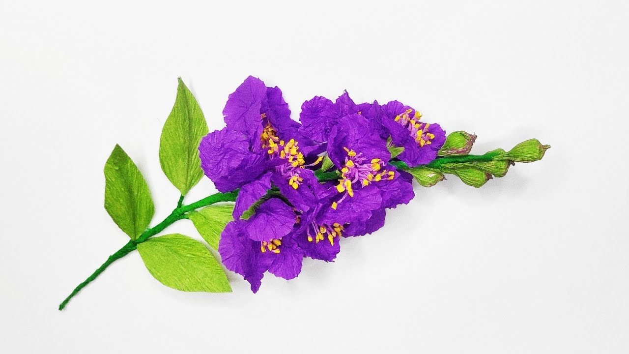 Jarul Flowers Purple Lagerstroemia speciosa Queen's crepemyrtle