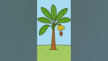 Easy Banana Tree Drawing for Kids #shorts #drawing #drawingforkids