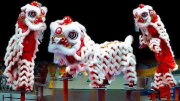 Múa Lân Cực Hay 2025 LSR Đoàn Lâm Vũ thi Lân nhảy Mai Hoa Thung tại Giải Lân Sư Rồng Toàn Quốc