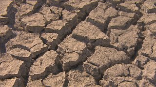 After weeks of moisture, drought conditions ease in parts of Prairies