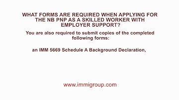 What forms are required when applying for the NB PNP as a Skilled Worker with Employer Support?