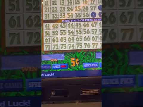 😁Playing MAJESTIC Stallion✨️🐎 #slots #slotmachines #casino #gambling #originalcontent #notmymusic fy