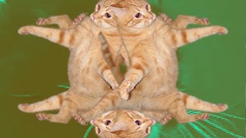 Atari Aria - Ode on Piano - Funny Music Video for Cats