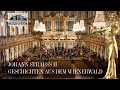  johann strauss ii contes de la fort viennoise  valse op325  musikverein vienne  wjso