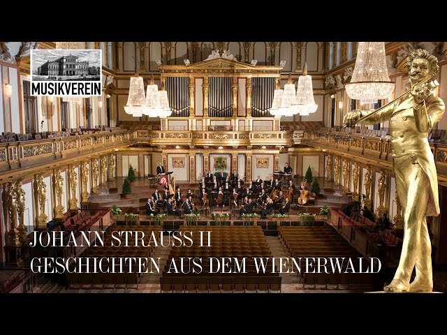 ♫♪♫ Johann Strauss II: Tales from the Vienna Woods / Waltz op. 325 | Musikverein Vienna | WJSO♫♪♫ class=