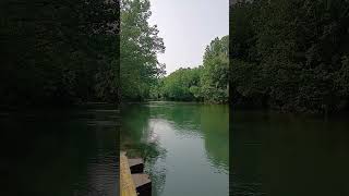 #nature #ozarks #creeklife #travel