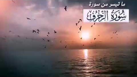 ماتيسر من سورة الزخرف (1)