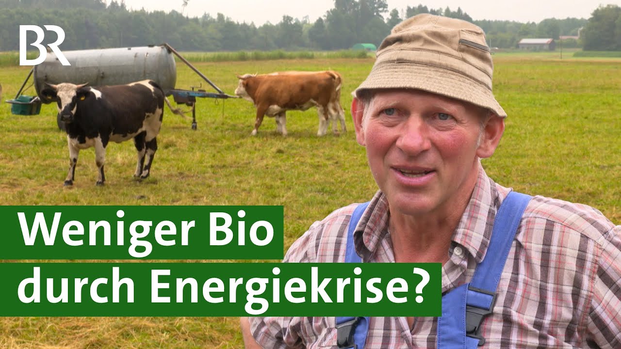 Umstellung auf Bio Landwirtschaft: Landwirte beklagen Energiekosten und Milchpreis | Unser Land | BR