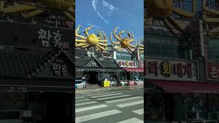 Steamed Crab 대게 Korean Style