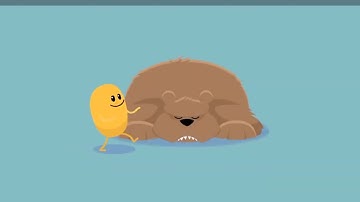 Dumb Ways to Die Part 4 Careful with Bear 🐻