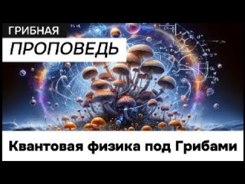 Грибная Проповедь: Квантовая физика под Грибами ⚛️ Чему не учат в школе