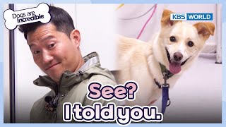 See? I told you😘 [Dogs Are Incredible : EP.212-3] | KBS WORLD TV 240326