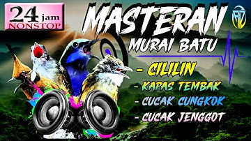 MASTERAN MURAI BATU | FULL ISIAN TEMBAKAN 24 JAM | Cililin, kapas tembak,cucak cungkok,cucak jenggot