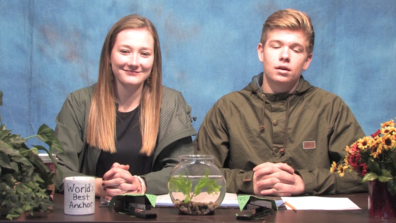 Tuesday November 15 2016 YouTube