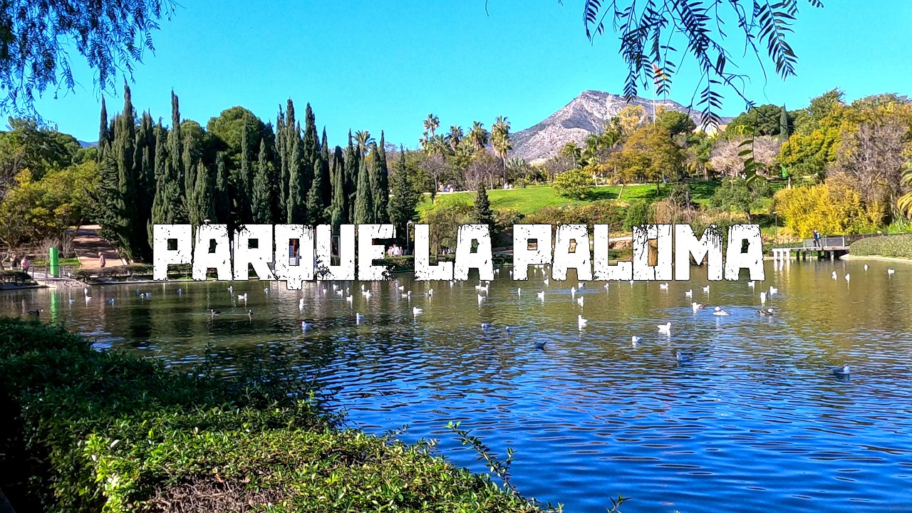 A Tour of the Cactus Garden, Lake & Animals | A Walking Tour of Parque de la Paloma [4K]