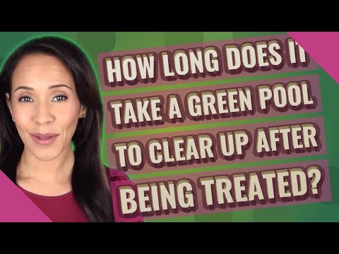 How long does it take a green pool to clear up after being treated?