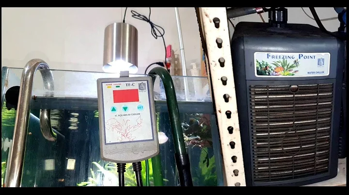 魚博士被這個玩家驚到【水草缸用冷水機】 - 天天要聞