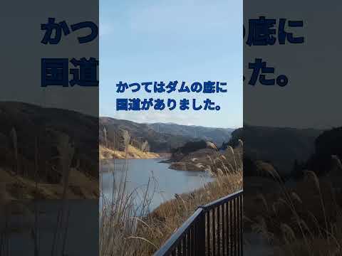 デンカタクシーQJY31前編 #みやこ町 #automobile #タクシー #LPG車 #日産セドリック #セドリックセダン #Y31 #Y31セドリック #伊良原ダム #旧車