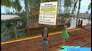 Virtual Ability: Orientation ONE in Second Life®  (part 1 of 3)