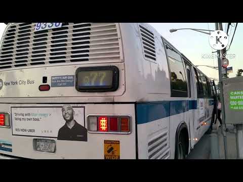 Jamaica 165 St Bus Terminal
