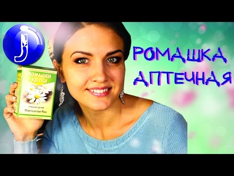 Вопрос: Как приготовить ромашковый чай?