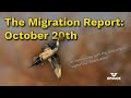 The Migration Report: Wisconsin Waterfowl Updates - Oct 20th