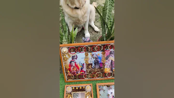 He will always be the cutest puppy #dog #goldenretriever