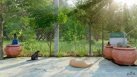OPEN BACKYARD l Lumion 10.3.2 Render