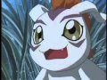 The Best Of Digimon 