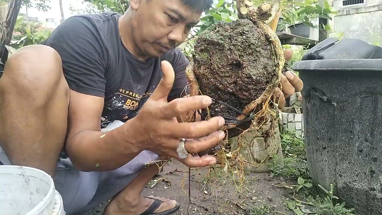 Evakuasi Sancang On The Rock — Dari Terbengkalai Jadi Harapan 