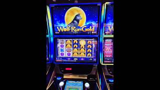 Hit a Nice WOLF RUN!! #bonusspin #slot #casino #slotmachine #gamble #gamble #gambling