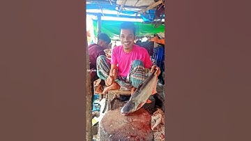 Perfect Pangasius Cutting: A Complete Fish Cleaning Tutorial 😊 #shorts #shortsfeed