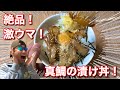 【実食・ふるさと納税】高知県芸西村の真鯛の漬け丼絶品すぎる！