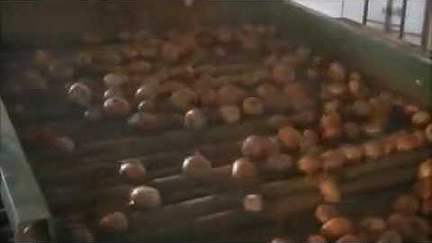 Onion Topper Red Ant Demo