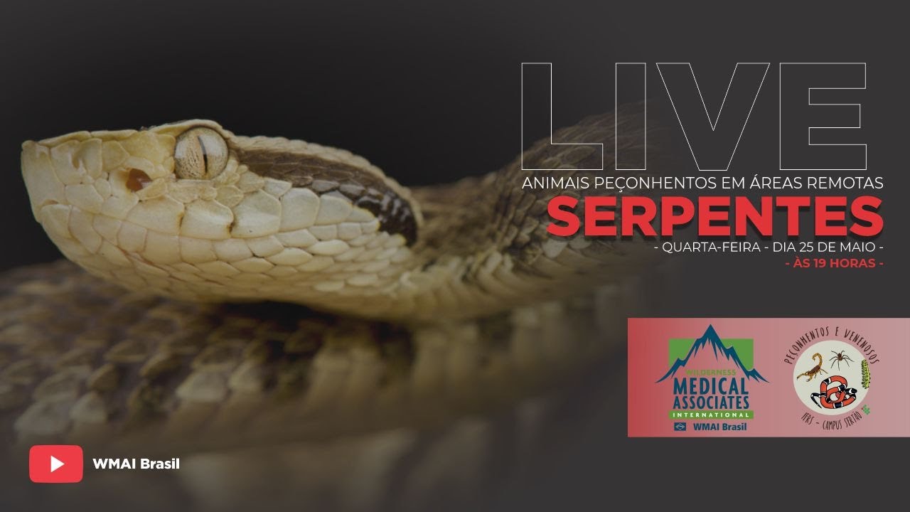 Animais Peçonhentos em Áreas Remotas: Serpentes