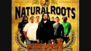 Video-Miniaturansicht von „Natural Roots - Righteous woman“