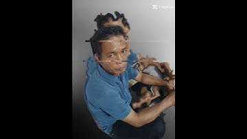 Where is the Sarnadi? (I