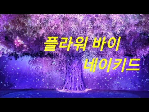 ☆ 플라워 바이 네이키드 ☆ (1080p)
